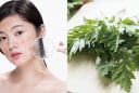 Lá ngải cứu có giúp làm mờ nám?