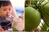 Uống nước từ quả này một tuần bạn sẽ thấy Sh88bet đăng ký miễn phí mình thay đổi kỳ diệu