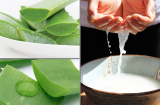 Chỉ cần bỏ ra 5 phút mỗi ngày làm theo cách này bạn sẽ có được Mừng SHBET phiên bản mới 2025 láng mịn không tỳ vết