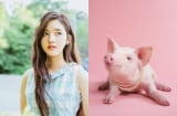 Con giáp này trời sinh tốt số, sau 35 tuổi tài lộc BÙNG NỔ, vận may chói ngời, giàu sang khó ai bằng