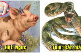 12 Shbet888.com nhà cái uy tín có nốt ruồi ở đâu thì HÚT TÀI LỘC, làm gì cũng giàu? Chớ tẩy đi mà thiệt