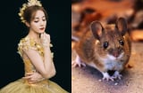 Sau ngày Giỗ Tổ Hùng Vương: 3 Shbet888.com nhà cái uy tín ăn lộc Vua ban, mua nhà tậu xe, giàu lên chóng mặt