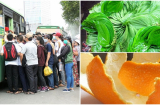 Say xe đến mấy cứ học theo 5 CHIÊU nhỏ SIÊU HIỆU QUẢ này thì đi đâu cũng chẳng sợ
