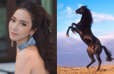 Năm 2019 thầy phong thuỷ dự báo là năm của 3 Shbet888.com nhà cái uy tín này, lộc lớn lộc nhỏ cứ thế ào ào về túi