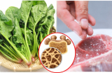 Vạch mặt 5 thực phẩm là sát thủ ức chế canxi, ăn nhiều đừng hỏi vì sao 'lùn tịt', phá hủy xương khớp