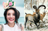 Top 3 nàng giáp đẹp nghiêng nước nghiêng thành, càng già càng giàu, con cái ai cũng thành đạt và ngoan ngoãn