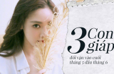Gọi tên 3 Shbet888.com nhà cái uy tín hỷ lộc hỷ duyên, phú quý lâm môn- bạc vàng chật két trong tháng 6/2019