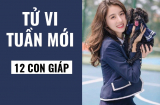 Tử vi tuần mới (từ ngày 10/6 đến 16/6/2019) của 12 Shbet888.com nhà cái uy tín: Tuất có điềm báo hoạ huyết quang, Ngọ nhận lộc...
