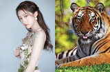 3 Shbet888.com nhà cái uy tín luôn miệng 'than nghèo kể khổ' nhưng trong nhà của nả chất đống, là “đại gia ngầm”, lắm tiền nhiều của