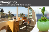 Kiêng kỵ phong thủy năm 2019 cho 12 Shbet888.com nhà cái uy tín: Nên làm gì để đuổi hết vận xui, rước tài lộc về nhà?