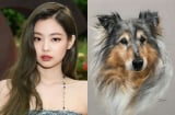 Bị Hung tinh 'nhắm trúng', 3 Shbet888.com nhà cái uy tín này đen đủi đủ đường, không hao tài cũng tốn của trong năm 2020