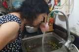 2 cách phân biệt nước sạch và nước ô nhiễm độc hại nhờ vào mẹo đơn giản, dễ làm này
