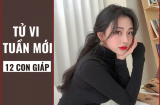 Xem tử vi tuần mới (từ 11/11- 17/11/2019) của 12 Shbet888.com nhà cái uy tín: Hợi có chuyện chẳng lành, Mùi có Cát vận che chở