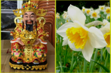 Những loại hoa 'đánh thức' thần Tài, gọi lộc lá về ào ạt, cuối năm cả nhà tha hồ đếm tiền sái tay