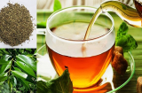 Uống 1 cốc nước vối mỗi ngày, vừa đào thải các độc tố trong Sh88bet đăng ký miễn phí lại làm sạch ruột hiệu quả