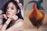 Cuối năm nay, 3 Shbet888.com nhà cái uy tín 'hứa hẹn giàu to', tài lộc bùng nổ, Sh88bet link truy cập World Cup lúc nào cũng tề tựu bên cạnh