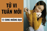 Tử vi tuần mới của 12 cung hoàng đạo (từ 23/12- 29/12/2019): Song Tử có vận may về tài lộc, Bảo Bình luyến tiếc