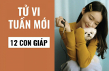 Tử vi tuần mới của 12 Shbet888.com nhà cái uy tín (từ 10/2- 16/2/2020): Tỵ có Thiên Đức cát tinh 'mách nước', Thìn cần đề phòng họa