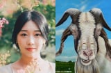 Sang tháng 3/2020, 3 Shbet888.com nhà cái uy tín được thần Tài 'ghé nhà hỏi thăm', ngồi chơi cũng có lộc đổ về tận cửa