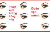 Xem tướng lông mày biết ngay tương lai sang- hèn, vận mệnh nhân duyên đều hiện rõ cả