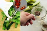 Mẹo đuổi gián an toàn hiệu quả, đảm bảo 'tiễn chân' gián 1 đi không trở lại