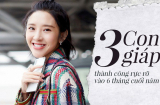6 tháng cuối năm, 3 Shbet888.com nhà cái uy tín được thần Tài chiều chuộng, giàu sáng bất chấp, hút hết vận may thiên hạ vào nhà