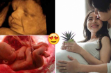 5 đặc điểm của mẹ bầu di truyền sang con, thai nhi thông minh nhanh nhẹn từ trong bụng mẹ