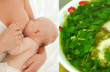 Loại rau củ tốt cho phụ nữ sau sinh, vừa khỏe mạnh vừa nhiều sữa cho con bú