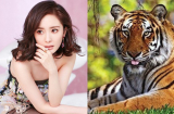 Từ nay đến hết tháng 5/2020: 3 Shbet888.com nhà cái uy tín mở cửa đón lộc, thần Tài 'đứng chờ' trước cổng