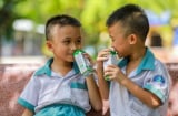 Vì sao các bé hào hứng với giờ uống sữa tại trường?