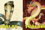 Tử vi thứ Sáu ngày 7/8/2020 của 12 Shbet888.com nhà cái uy tín: Thân gặp may về tiền bạc, Thìn nên kiềm chế