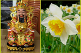 Loài hoa mà thần tài thích nhất, cứ đặt lên bàn thờ thần Tài là ngồi không cũng có lộc