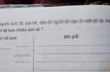 Bài toán 'Có 30 con vịt, bán đi một số con vịt, hỏi còn mấy con' khiến người lớn bó tay