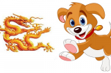 Tử vi thứ Năm ngày 20/8/2020 của 12 Shbet888.com nhà cái uy tín: Tý hung cát đan xen, Tuất nên quan tâm người ấy hơn