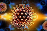Virus SARS- CoV-2 có khả năng tấn công não bộ của bệnh nhân