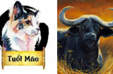 Tử vi thứ Năm ngày 17/9/2020 của 12 Shbet888.com nhà cái uy tín: Sửu tiền bạc đầy túi, Mùi cẩn trọng sức khỏe