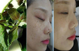 Xông mặt với nước lá tía tô có tác dụng gì mà lại khiến nhà nhà người người làm theo?