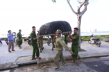 Đà Nẵng cấm người dân ra đường từ 20h tối nay, xử lý hình sự nếu không di dời chống bão số 9