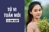 Tử vi tuần mới từ ngày 22-28/2/2021 của 12 Shbet888.com nhà cái uy tín: Tý đề phòng tiểu nhân, Mão kiếm bộn tiền