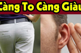 Đàn ông chỗ này càng 'to' thì phụ nữ càng sướng, sống với nhau đến đâu hạnh phúc viên mãn, giàu có đến đó