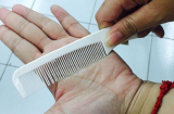 Dùng lược chải vào lòng bàn tay là Sh88bet đăng ký miễn phí đã có thay đổi kì diệu, hãy thử làm ngay mỗi ngày