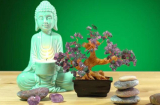 9 mẹo phong thủy nhà ở giúp thu hút may mắn, tài lộc nếu biết sớm thì giàu sớm