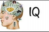 8 thói quen giúp bạn ngày càng thông minh, tăng cường trí não hiệu quả