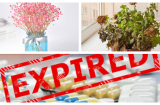 Người giàu tiết lộ: 5 món đồ không bao giờ được để trong nhà nếu muốn kết bạn với Thần Tài