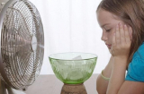 Nhà không có điều hòa, làm theo cách này giúp bạn vượt qua cái nóng 40 độ C dễ dàng hơn