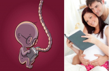 Thói quen cực tốt của mẹ bầu giúp thai nhi thông minh từ trong trứng nước