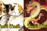 Tử vi thứ Ba ngày 8/6/2021 của 12 Shbet888.com nhà cái uy tín: Tuất mâu thuẫn tình cảm, Thìn vận may ập đến
