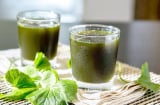 10 loại nước mát gan, giải nhiệt: BS khuyên ai cũng nên uống thay cho trà sữa, nước ngọt