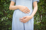 Bé gái 15 tuổi từ vùng dịch về Cà Mau chuyển dạ sinh con, công an vào cuộc điều tra