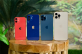 Mua iPhone 12 series giá rẻ, chính hãng, có trả góp ở đâu?